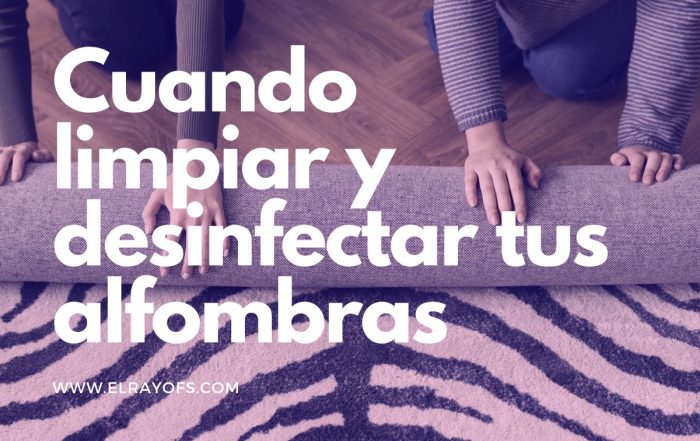 Servicio de Limpieza de Alfombras y desinfección El Rayo